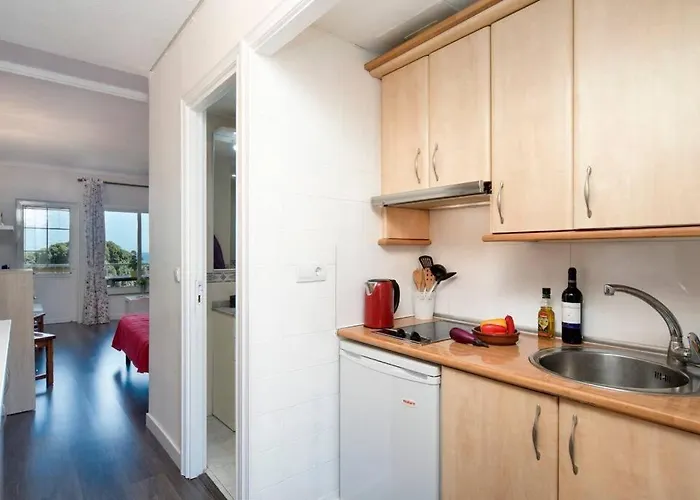 Carihuela Palace Apartment *